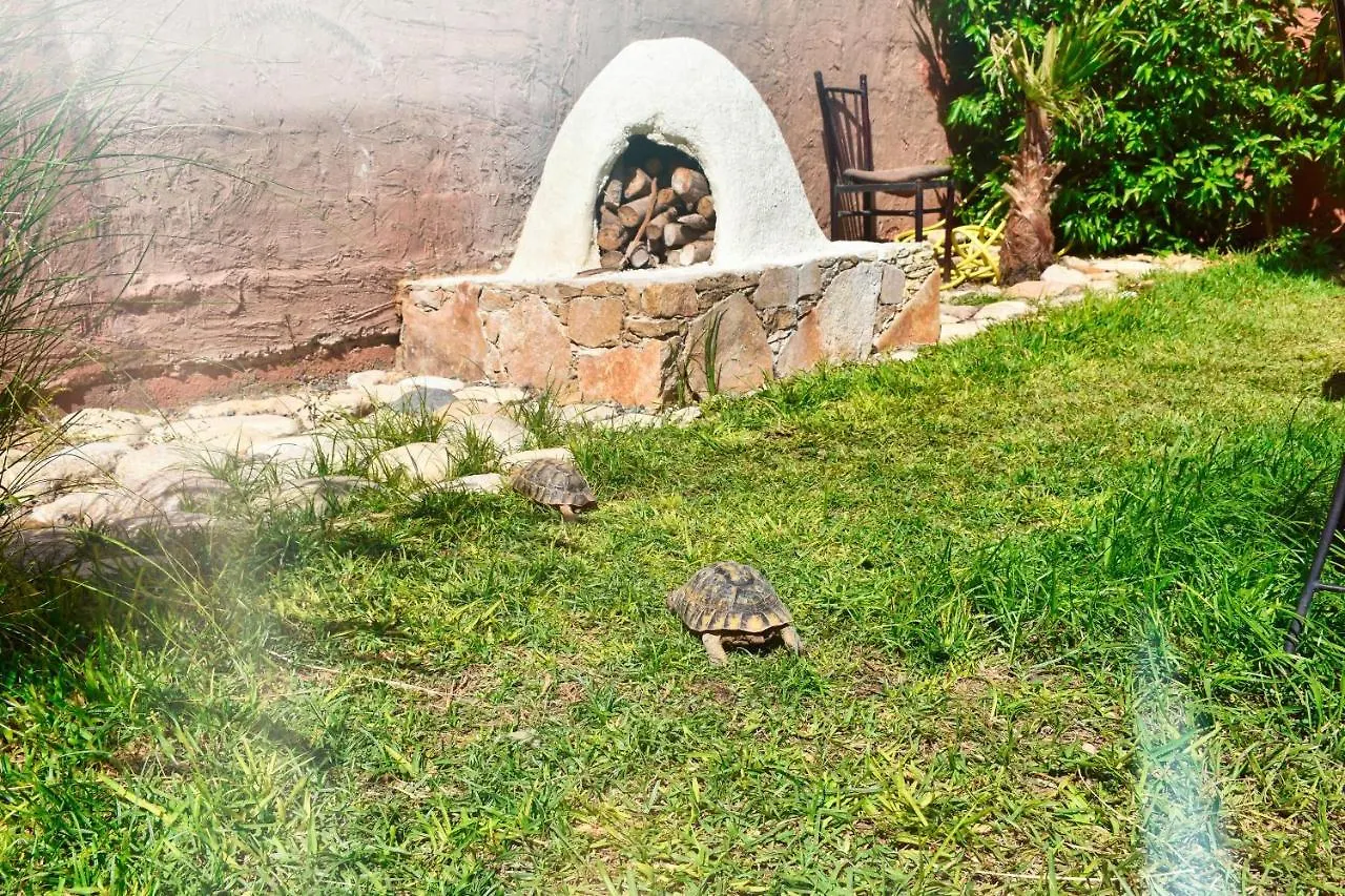 Route De Miel Appartement Agadir